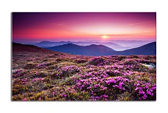 Obraz na stenu ZS - bez pomeru strán